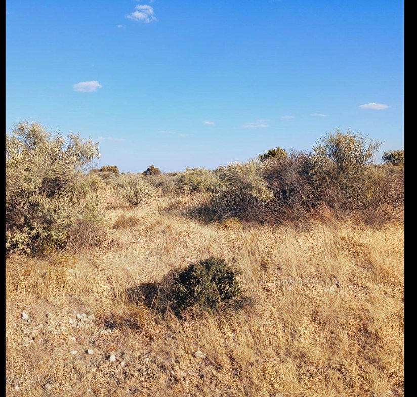 Commercial Property for Sale in Barkly West Rural Northern Cape